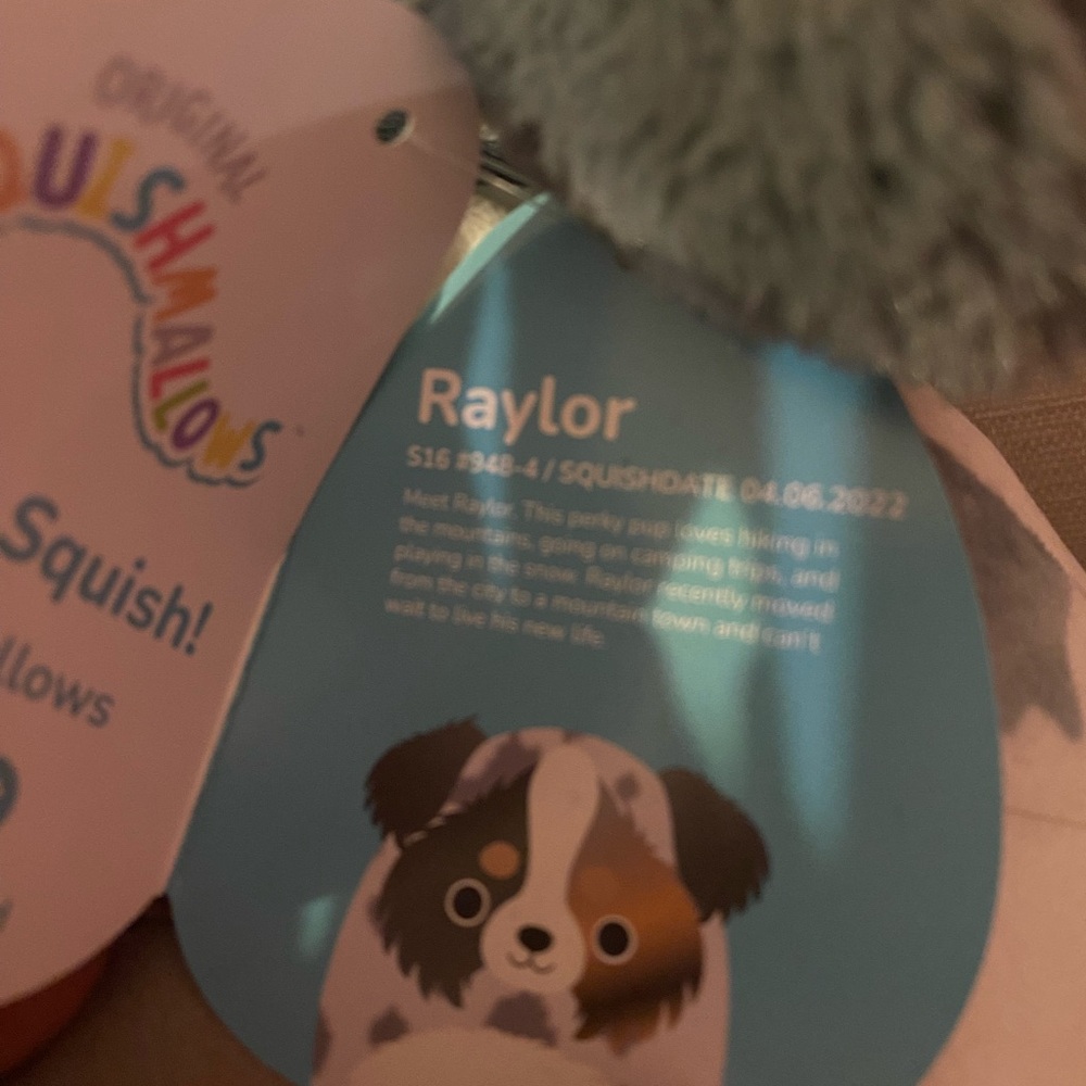Raylor - Picture 3 of 3